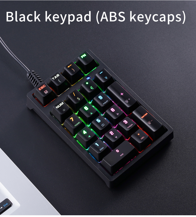 T21 ミニ数字キーパッド RGB バックライト ブルースイ - Keyboard Numpad Separate のレビューと価格